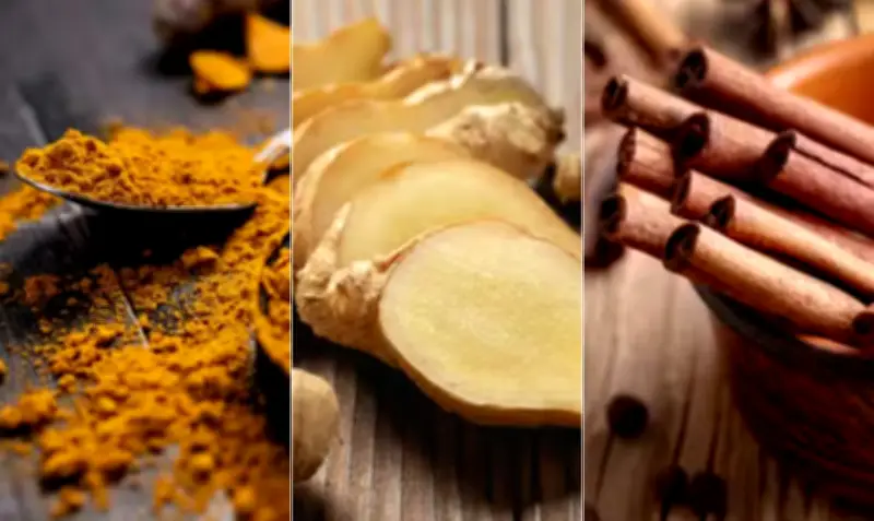 Chá de cúrcuma, gengibre e canela: benefícios do 'trio de ouro'
