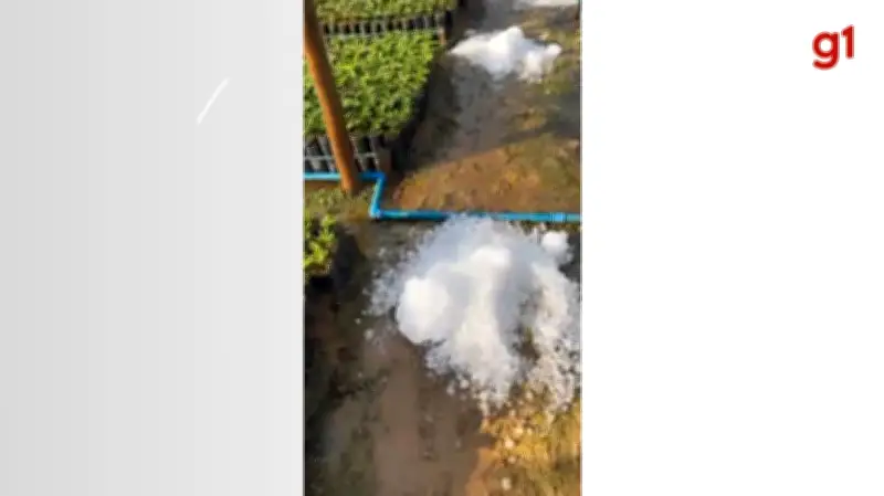 Chuva de granizo atinge Manhuaçu e danifica viveiros de café