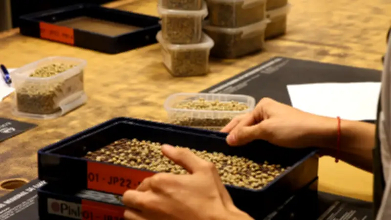 Classificação de café: processo estratégico para qualidade e mercado
