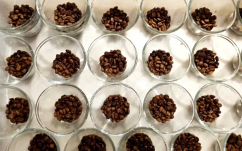 Concurso de Qualidade dos Cafés de Minas 2026: inscrições abertas