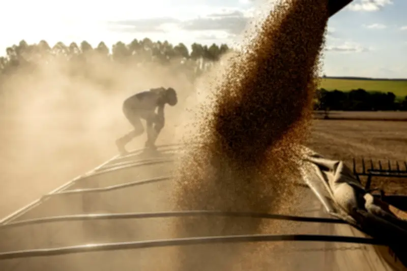 Conservar florestas não prejudica agronegócio, mostra realidade