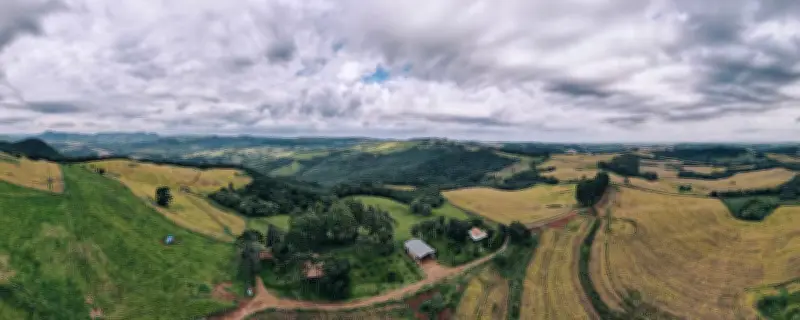 Construtora Vectra alia preservação ambiental a negócios sustentáveis no Paraná