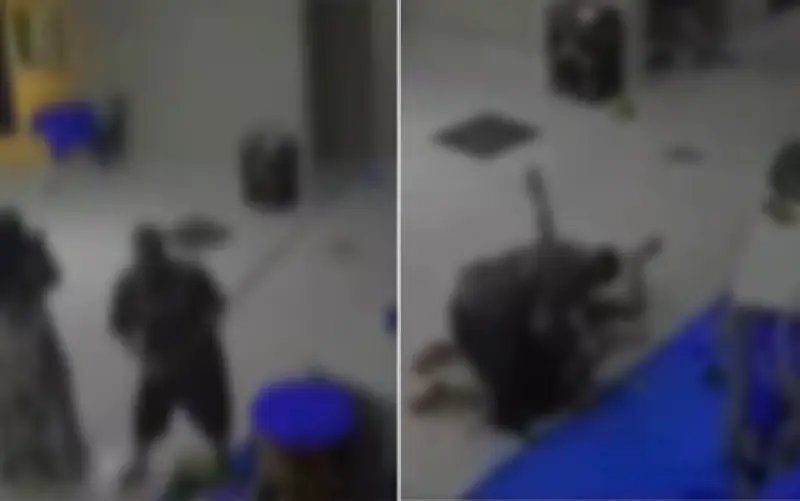 Convidada destrói decoração de festa e pode responder por vários crimes