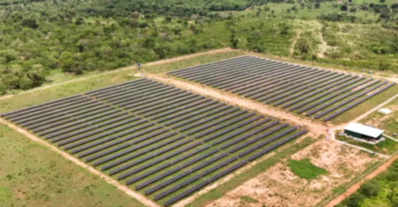 Cresce busca por assinaturas de energia solar no Brasil