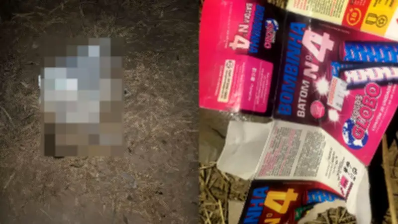 Crianças são levadas à delegacia após morte de gato com explosivo em Assaré