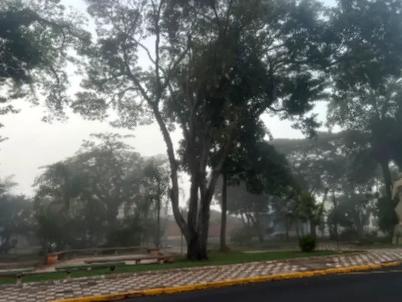 Defesa Civil alerta para queda de temperaturas no interior de SP