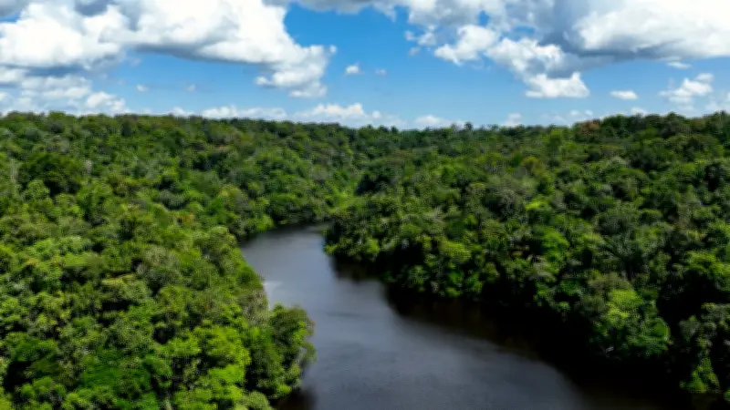Desmatamento na Amazônia cai 37,5% e atinge menor nível desde 2016