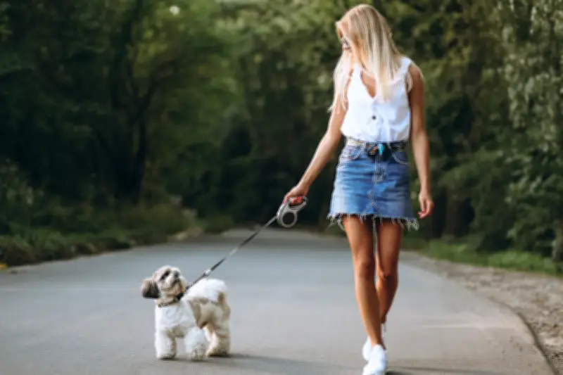 Dog nanny: nova profissão em alta entre tutores de pets
