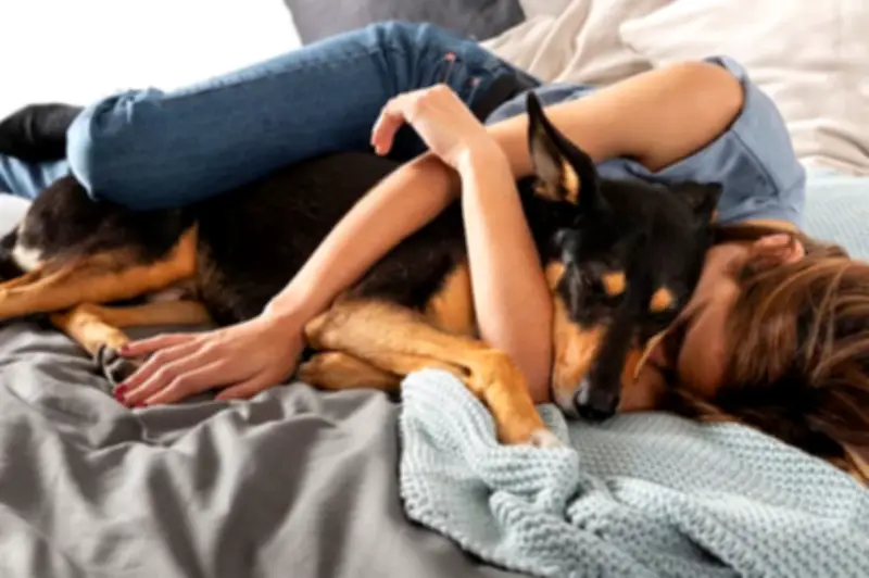 Dormir com pets: benefícios emocionais e riscos à saúde