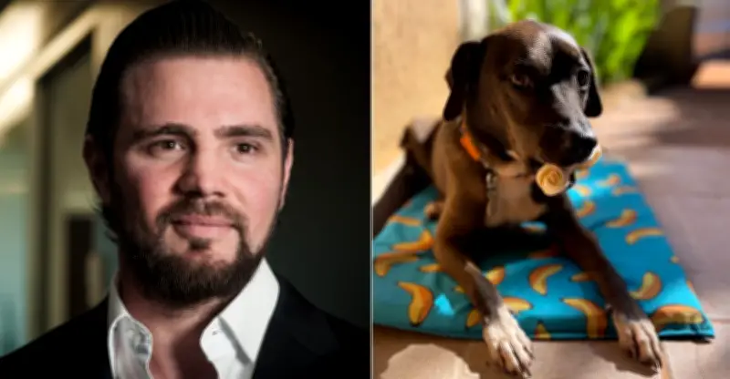 Drone em busca de cachorro causou surto de Vorcaro e ataque de capangas