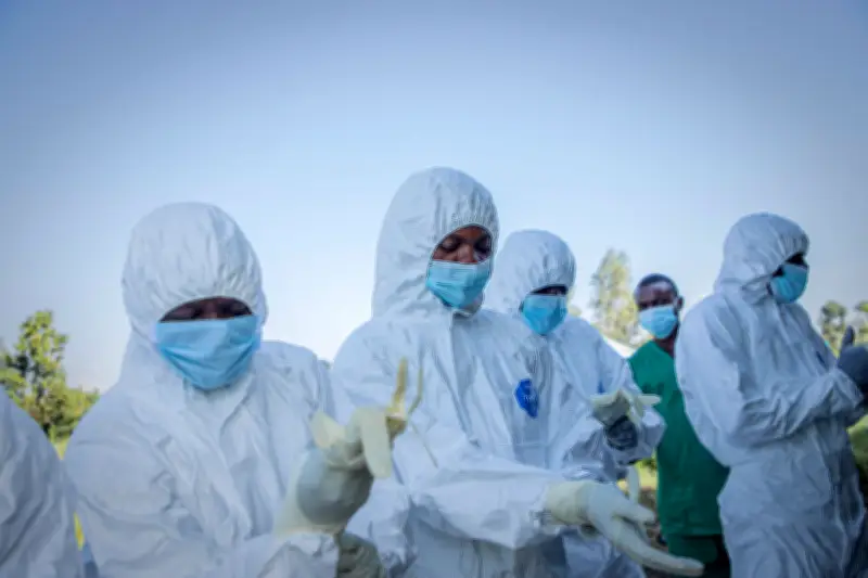 Ebola Bundibugyo: cientistas sem acesso a amostras do vírus para vacinas