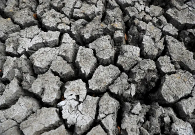 El Niño leva ONS a conter uso de água em Itaipu e hidrelétricas do Sul