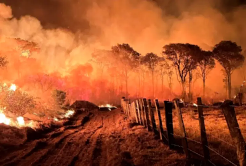 Emergência ambiental no MS por 180 dias devido a risco de incêndios