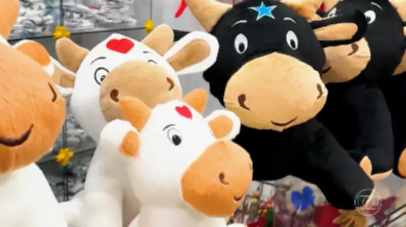 Empreendedora cria Baby Boi e transforma negócio na pandemia