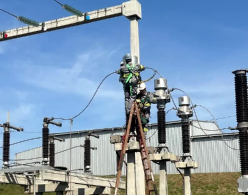 Energy Engenharia: 20 anos de excelência e segurança no setor elétrico