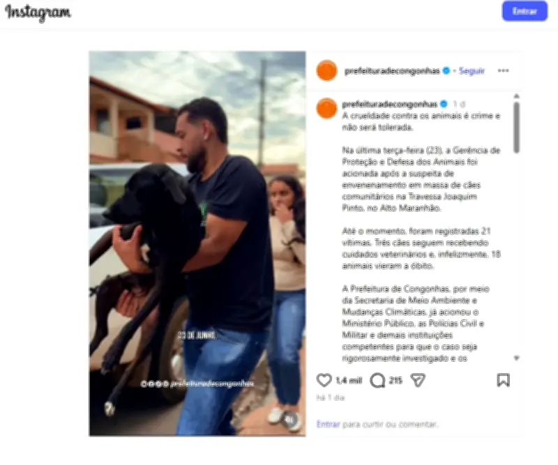Envenenamento mata 18 cães comunitários em Congonhas; prefeitura investiga