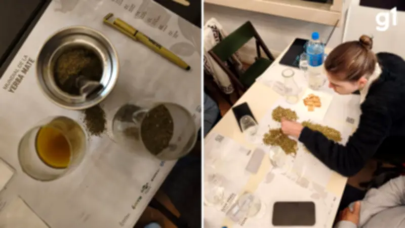 Ervateiras gaúchas brilham no primeiro Mundial de Erva-Mate