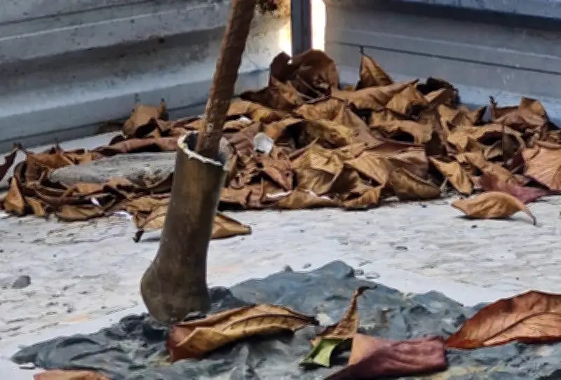 Estátua de Leila Diniz avaliada em R$ 180 mil é furtada em Niterói antes da inauguração