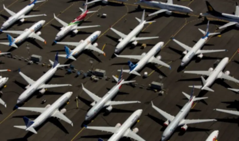 Estudo com DNA identifica 32 espécies inéditas em colisões com aeronaves no Brasil