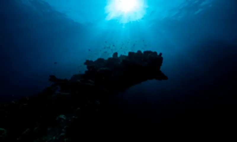 Estudo desafia teoria sobre captura de carbono no oceano profundo