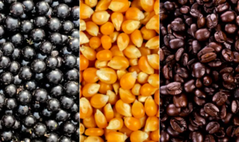 EUA apontam açaí, milho e café como produtos brasileiros com trabalho forçado