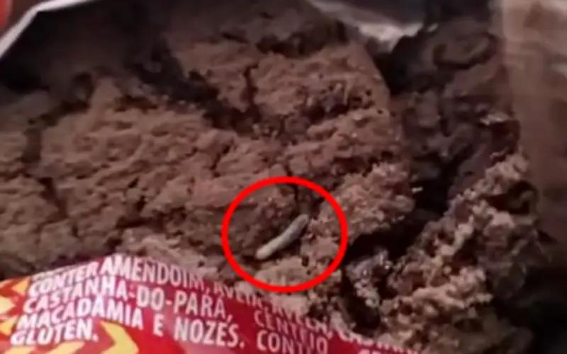 Fabricante condenada após criança encontrar larvas em biscoitos em Araçatuba