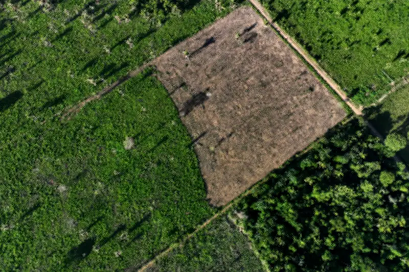 Fachin determina plano de desintrusão da Terra Indígena Cachoeira Seca no Pará
