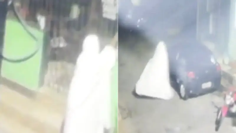 Fantasma' furta orquídea de idosa de 87 anos em BH