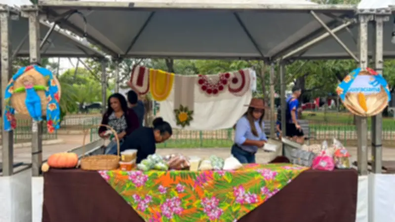 Feira de Economia Solidária em Montes Claros reúne 16 municípios