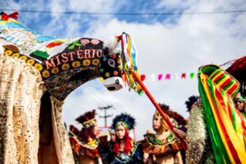 Festa de São Marçal reúne 30 grupos de bumba meu boi em São Luís
