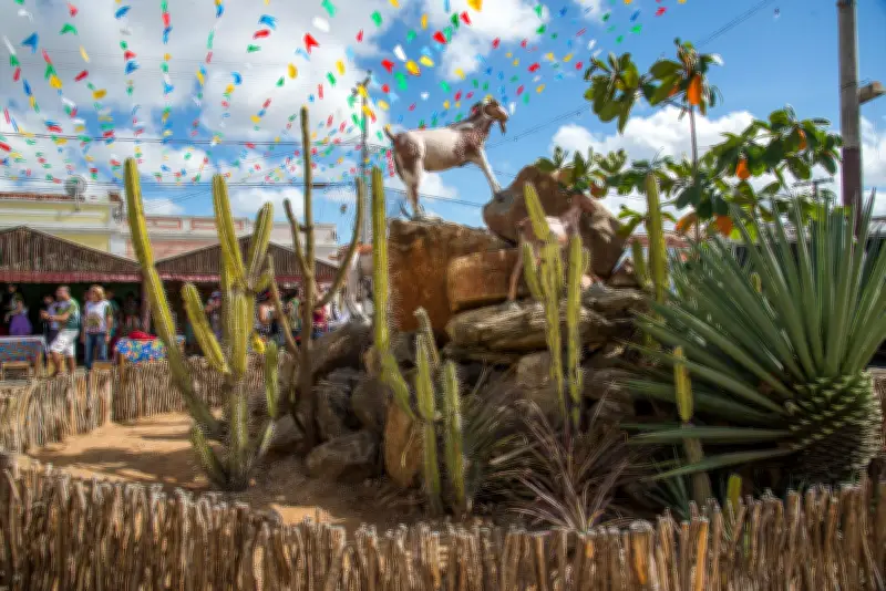 Festa do Bode Rei 2026 começa com shows e homenagem a Lampião
