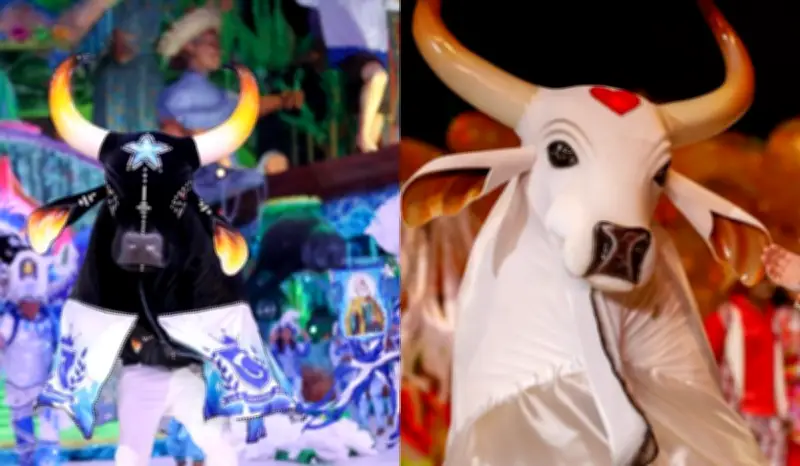 Festival de Parintins 2026: Caprichoso e Garantido iniciam disputa no Bumbódromo