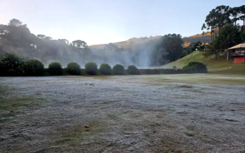Fim de semana gelado no Sul de Minas: geada e temperaturas abaixo de 3°C