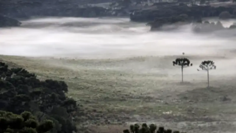 Frente fria mantém chuva no Sudeste e geada no Sul; veja previsão