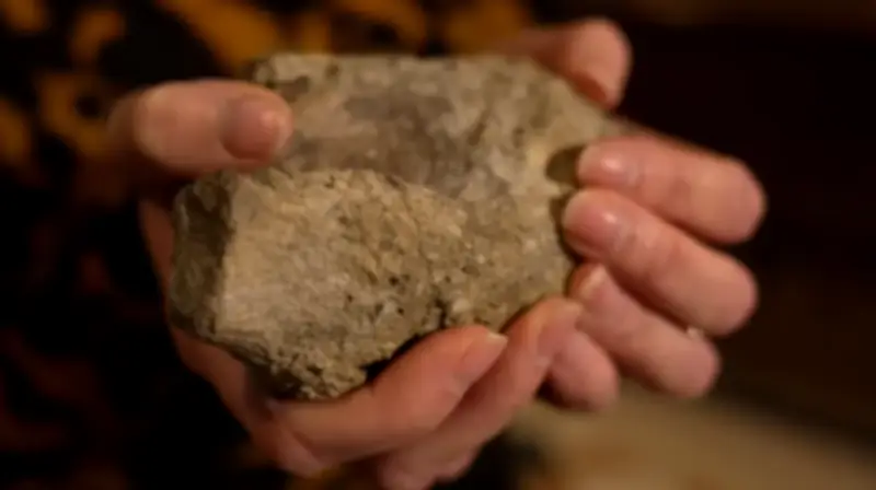 Fóssil esquecido por 40 anos é primeiro osso de dinossauro na Antártida