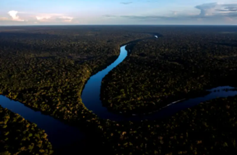 Fundo Amazônia quadruplica aprovações e atrai nove doadores internacionais em 2023