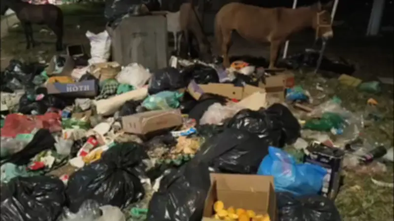 Garis retomam atividades no DF após paralisação por piso salarial