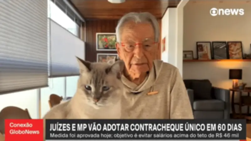 Gata de Fernando Gabeira rouba a cena ao vivo na GloboNews e viraliza