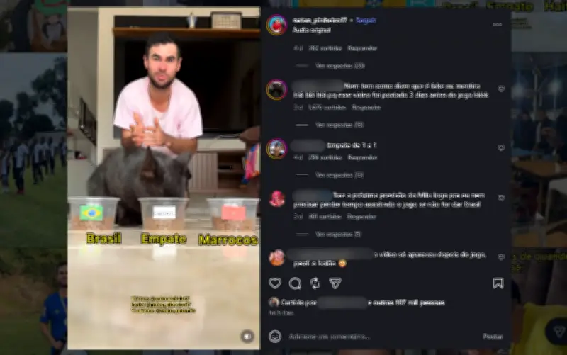 Gato vidente Milu aposta em vitória do Brasil sobre o Haiti