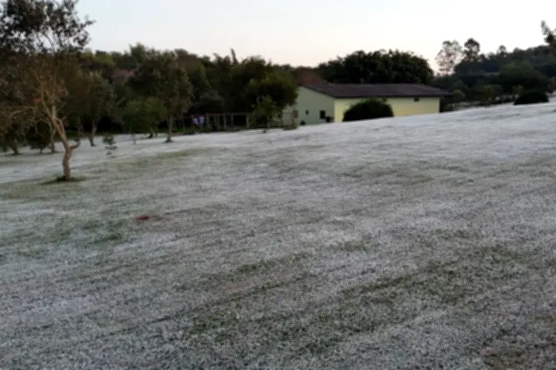 Geada atinge 12 cidades de MS; menor temperatura é 1°C em Iguatemi