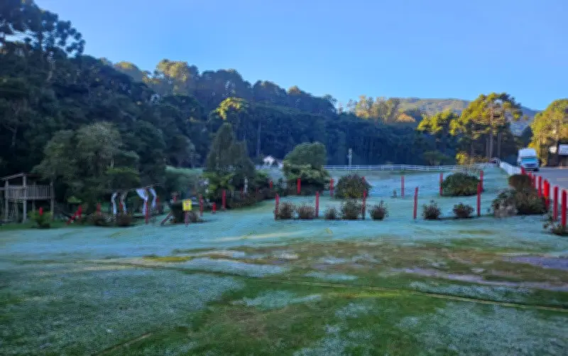 Geada cobre cidades do Sul de Minas com temperaturas abaixo de zero