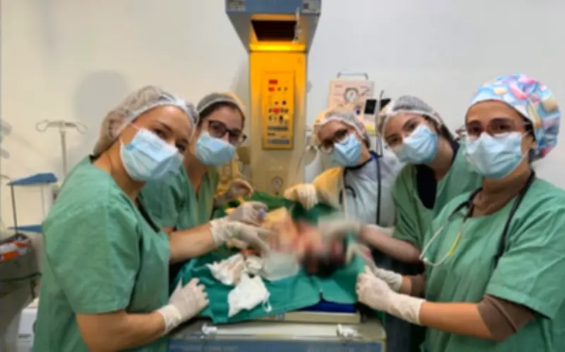 Gêmeos siameses unidos pelo abdômen morrem após infecção em Goiânia