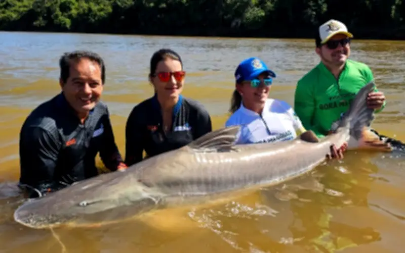 Goiás amplia lista de peixes exóticos permitidos na pesca; veja novas regras