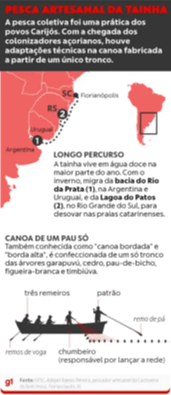 Governo amplia cota de pesca da tainha no Norte de SC