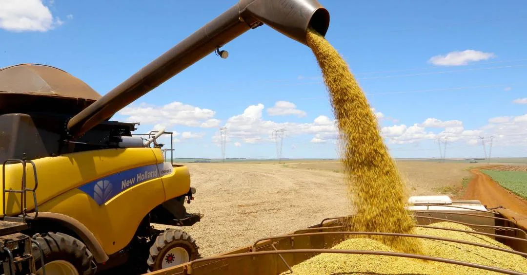 Brasil lança programa de rastreabilidade no agro para combater crime organizado