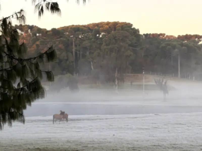 Gramado amanhece com geada, neblina e temperaturas próximas de 0°C
