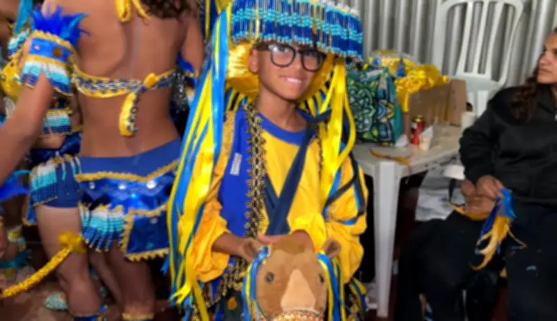 Grupo mantém tradições juninas no Distrito Federal com bumba meu boi