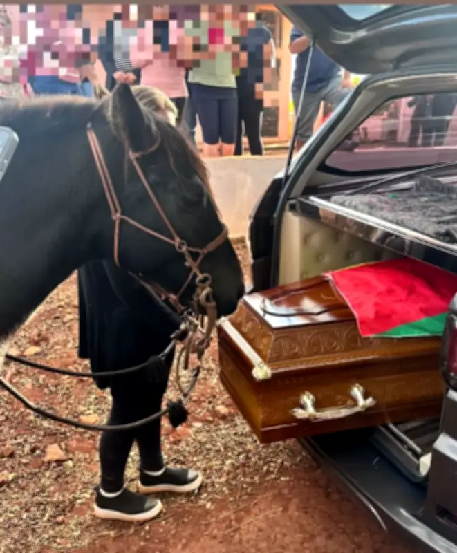 Égua se despede do dono durante velório no interior do RS