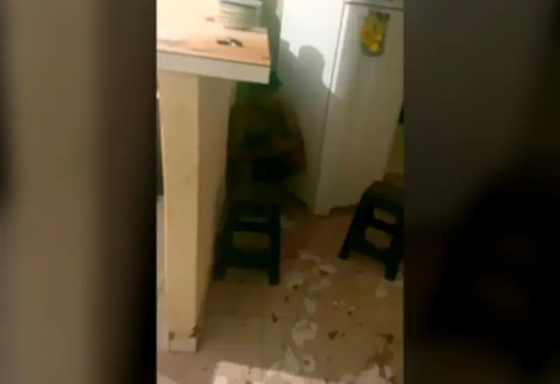 Homem destelha casa, cai na cozinha e se esconde de supostos perseguidores no TO
