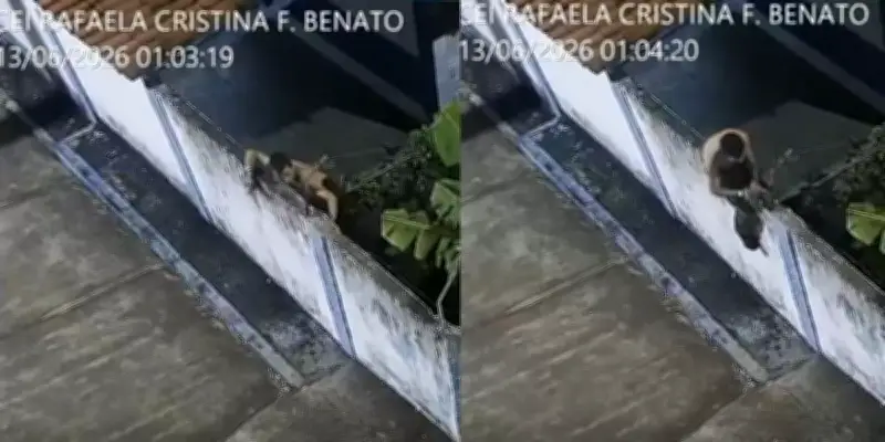 Homem furta torneiras de creche em Botucatu e é preso em flagrante